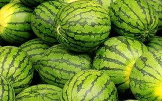 711吃瓜大赛,一场全民参与的夏日狂欢盛宴