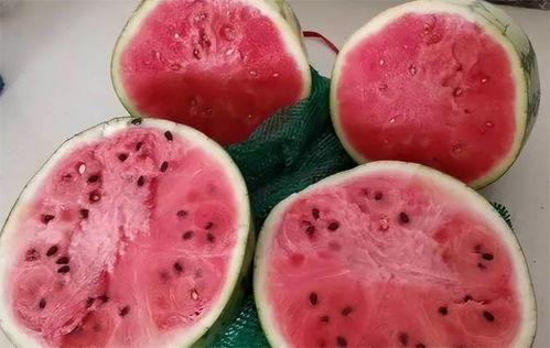 吃瓜假瓜,揭秘网络谣言背后的真相