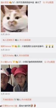 吃瓜完结,揭秘幕后真相，尘埃落定！