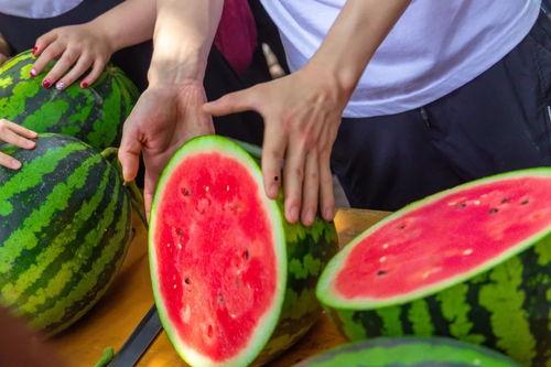 广西高校吃瓜群,校园生活趣味横生，热议话题层出不穷