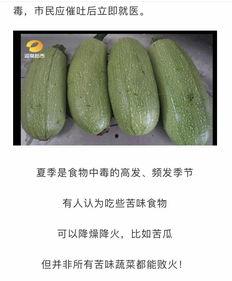 瓜瓜吃瓜不吃瓜瓜,吃瓜不吃瓜瓜的独到见解