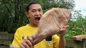 刘大瓜吃卤,舌尖上的美食之旅