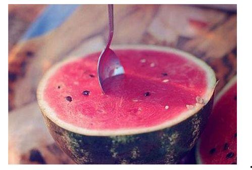 吃瓜返听,吃瓜群众眼中的娱乐圈风云录