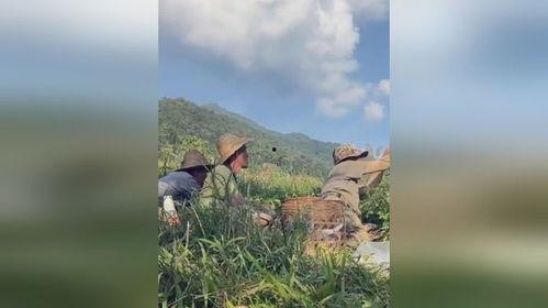 缅甸战事大妈吃瓜,大妈们热议的“瓜田”风云