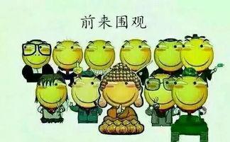 吃瓜群众六六,揭秘娱乐圈背后的那些事儿