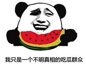 吃瓜群众洪荒之力,吃瓜群众的狂欢盛宴