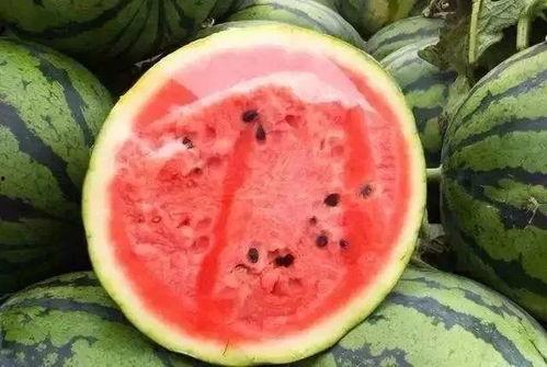 保存吃瓜的图片,揭秘保存吃瓜的奇妙瞬间