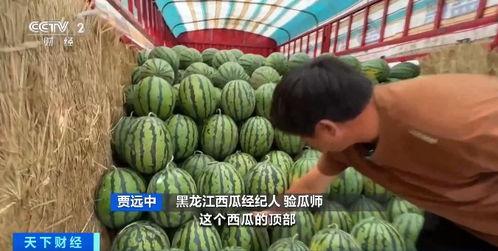 南阳教师吃瓜事件,一场吃瓜引发的校园争议