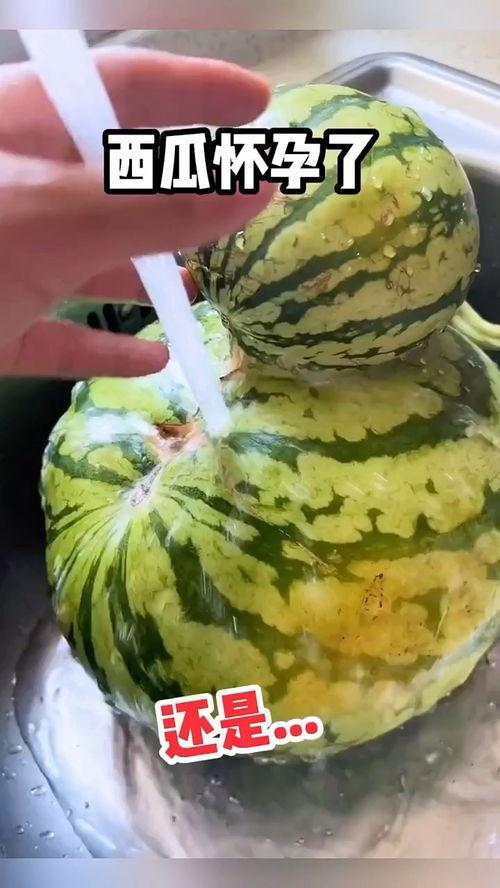 吃瓜搞笑音效视频